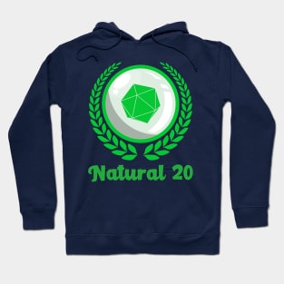 Natural 20 Hoodie